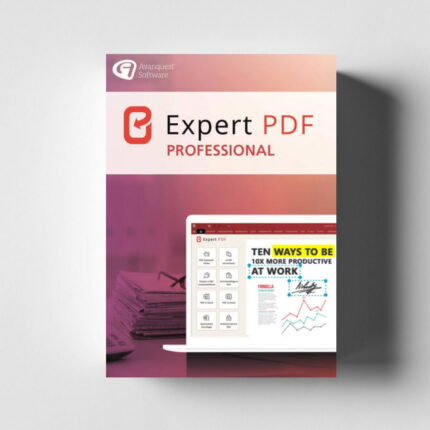 Expert PDF 15 Professional Licenta Electronica