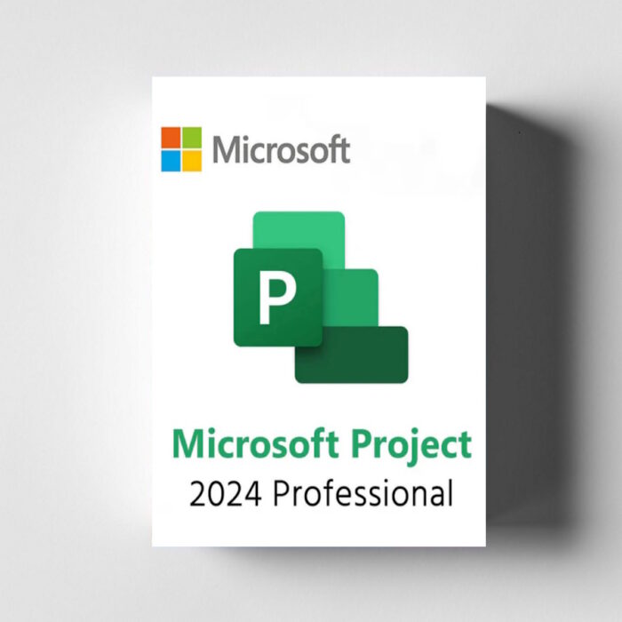 Microsoft Project Professional 2024