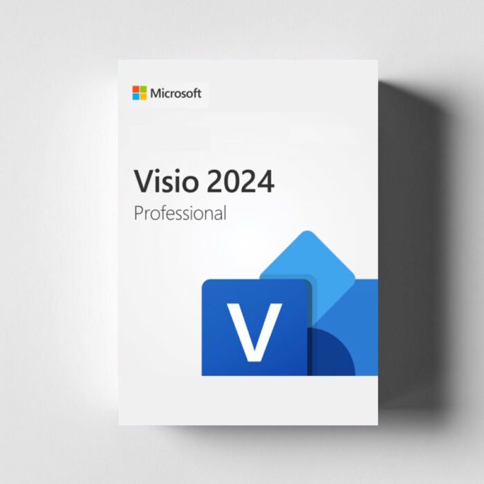 Microsoft Visio Professional 2024